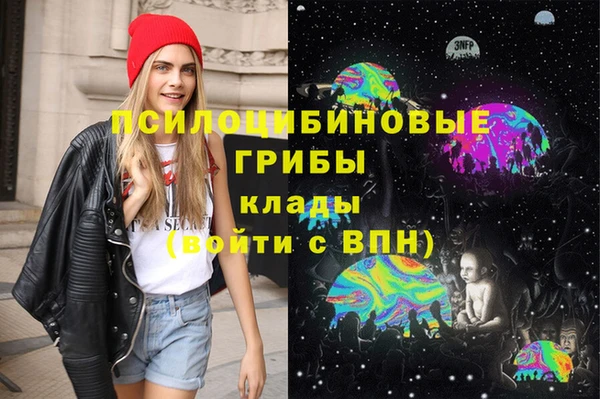 дурь Верея